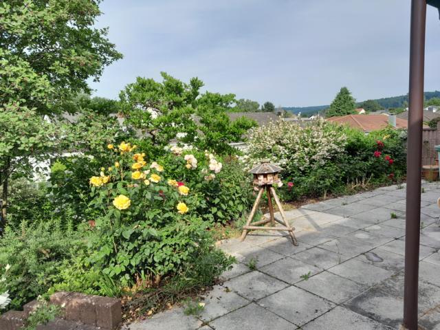 9. Bild