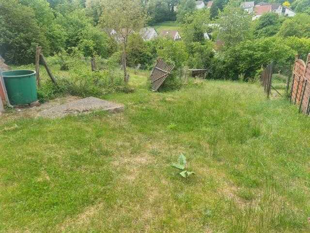 Foto 3_Gartenansicht